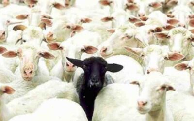 Las ovejas negras en el sistema familiar