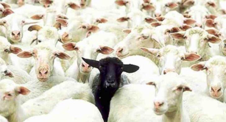 Las ovejas negras en el sistema familiar